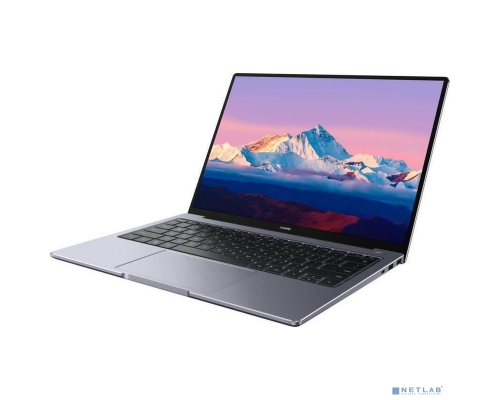 Ноутбуки Huawei MateBook B5-430 53012KFS Grey 14 {FHD i5-1135G7/8GB/512GB SSD/tpm/W10Pro} купить QBS.ru