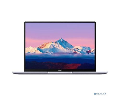 Ноутбуки Huawei MateBook B5-430 53012KFS Grey 14 {FHD i5-1135G7/8GB/512GB SSD/tpm/W10Pro} купить QBS.ru