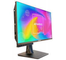 Моноблок 23.8'' Aquarius Pro T904 R53 i3 10100/8GB/480GB SSD/DP/HDMI/COM/Поворотная подставка/USB KB+Mouse/Внесен в реестр Минпромторга РФ