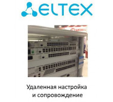 Услуга ELTEX SRV-SSW-SORM