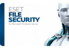 File Security