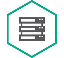 Право на использование (электронно) Kaspersky Security для систем хранения данных, Server. 1 FileServer 1 year Educational Renewal