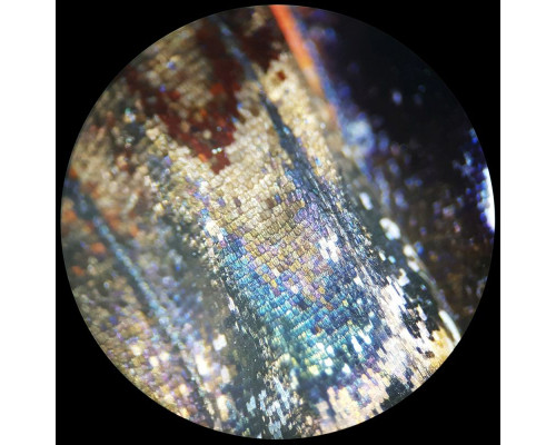 Микроскоп Analyth STR 10–40x Bresser