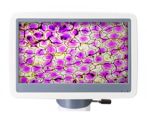 Микроскоп D85L LCD Levenhuk
