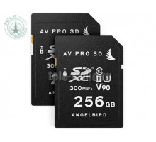 Angelbird Match Pack for EVA1 256 GB | 2 PACK