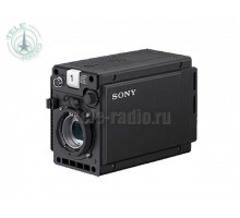 Sony HDC-P31