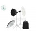 Godox AD300Pro KIT
