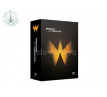 WAVES Broadcast and Production