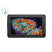 Atomos Sumo 19SE