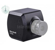 Marshall CV348