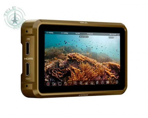 Накамерный монитор-рекордер Atomos Ninja