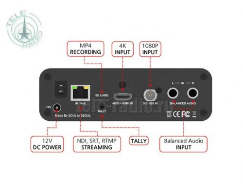 SalrayWorks N DOR H.264/HEVC