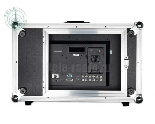 Монитор 23.8" в транспортном кейсе SEETEC P238-9HSD-CO