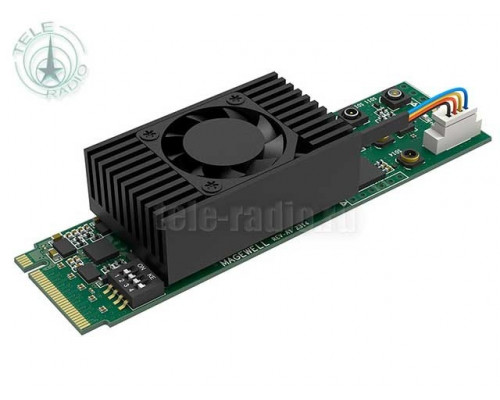 Одноканальная карта захвата 4Kp60 Magewell Eco Capture 12G SDI 4K Plus M.2