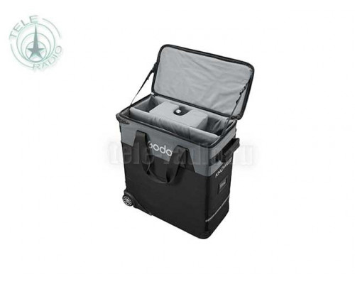 Осветитель светодиодный Godox Knowled P300R K1