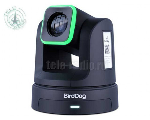 Ультрасовременная PTZ-камера BirdDog X5 с 20-кратным оптическим зумом (чёрный)