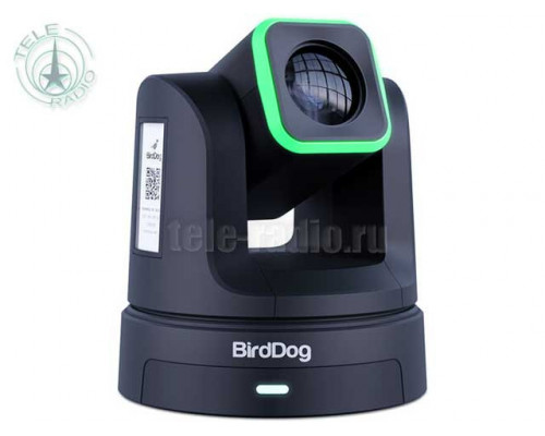Ультрасовременная PTZ-камера BirdDog X5 с 20-кратным оптическим зумом (чёрный)