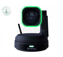BirdDog - X1 Ultra Black камера PTZ