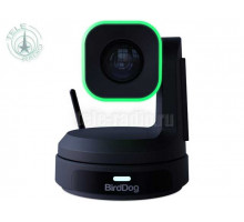 BirdDog - X1 Black камера PTZ