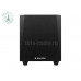 Adam Professional Audio T10S