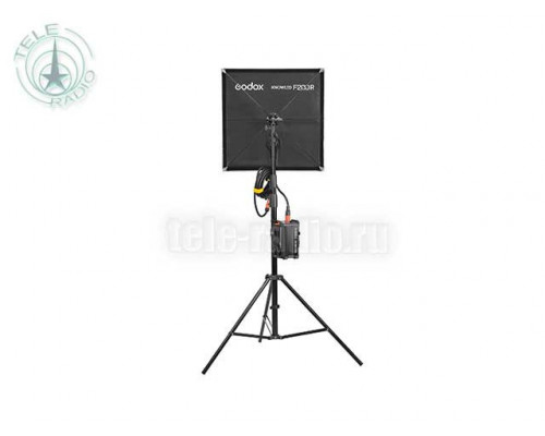 Осветитель светодиодный Godox Knowled F200R K1