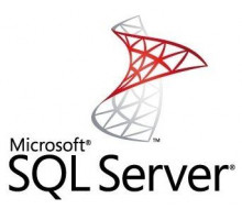 Комплект программного обеспечения SQL Svr Standard Edtn 2019 English DVD 10 Clt