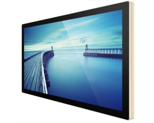 Профессиональный дисплей Goodview 55 PCAP display, 450 cd/m2, 24/7, FHD, aluminium frame, 10 points купить QBS.ru