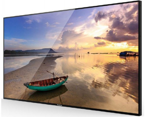 Профессиональный дисплей GoodView 49 AD display, 450cd/m2, 24/7, FHD купить QBS.ru