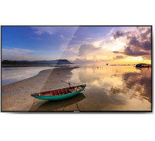 Профессиональный дисплей GoodView 49