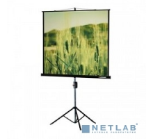 Экраны LUMIEN Lumien Master View LMV-100108 Экран на треноге (183х244), рабочая область (175х236) 4:3 напольный рулонный
