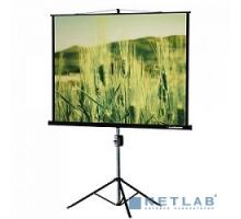 Экраны LUMIEN Lumien Master View LMV-100107 Экран на треноге (153х203), рабочая область (147х197) 4:3 напольный рулонный