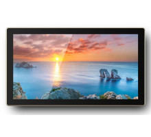 Профессиональный дисплей Goodview 22