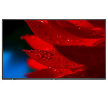 Профессиональная панель Nec 55