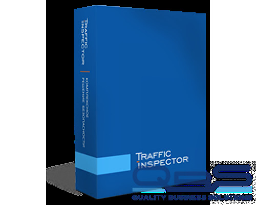 Право на использование программы (поставляется электронно) Traffic Inspector GOLD 200 купить QBS.ru
