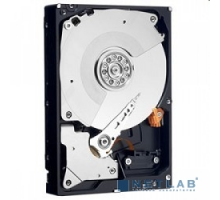 Жесткий диск 500Gb WD Caviar Black (WD5003AZEX) {Serial ATA III, 7200 rpm, 64Mb buffer}