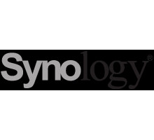 Ssd диск Synology SSD SNV3000 Series PCIe 3.0 x4 ,M.2 22110, 400GB, R3000/W750 Mb/s, IOPS 225K/45K, MTBF 1,8M repl SNV3500-400G'