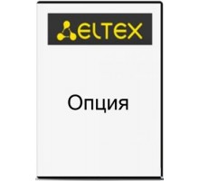 Опция ELTEX MES-BGP