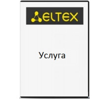 Услуга ELTEX SMG-SV-CNFG