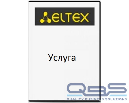 Услуга ELTEX SMG-SV-SORM-268 купить QBS.ru