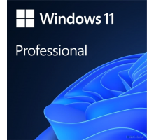 Программное обеспечение HAV-00164 Soft Microsoft Win Pro FPP 11 64-bit Eng Intl non-EU/EFTA USB (HAV-00164)