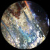 Микроскоп Analyth STR 10–40x Bresser