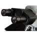 Микроскоп Science MTL-201 Bresser