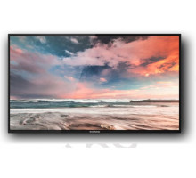 Профессиональный дисплей GoodView 55