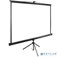 Экраны Cactus Экран Cactus TriExpert CS-PSTE-220x220-BK 220x220 см 1:1 напольный рулонный