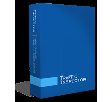 Право на использование программы (поставляется электронно) Traffic Inspector GOLD 20