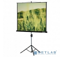 Экраны LUMIEN Lumien Master View LMV-100103 Экран на треноге 180x180 см 1:1 напольный рулонный