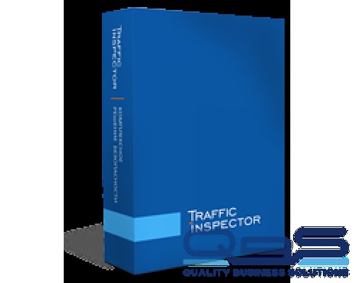 Право на использование программы (поставляется электронно) Traffic Inspector GOLD 15 купить QBS.ru