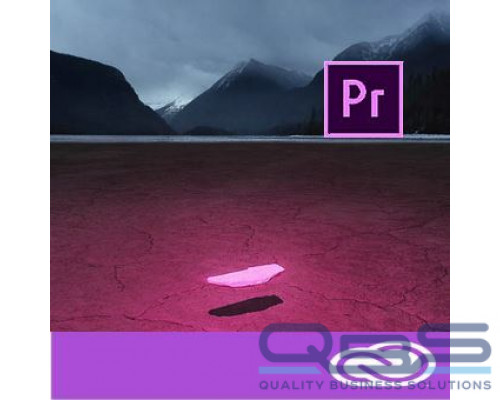 Подписка (электронно) Adobe Premiere Pro for enterprise 1 User Level 14 100+ (VIP Select 3 year commit), Продление 12 купить QBS.ru