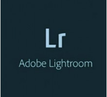 Подписка (электронно) Adobe Lightroom w Classic for teams Продление 12 мес. Level 13 50 - 99 (VIP Select 3 year commit
