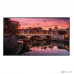 Монитор Дисплеи LCD 55 QM55R-B LH55QMRBBGCXCI SAMSUNG купить QBS.ru